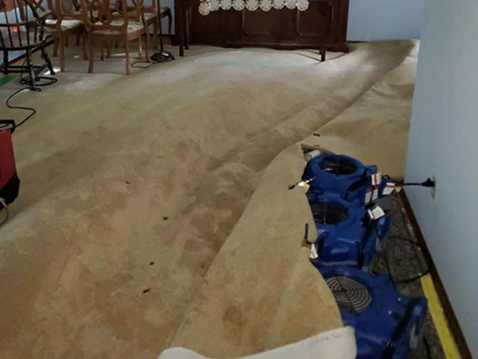 A lifted carpet edge with blue air movers positioned along the wall