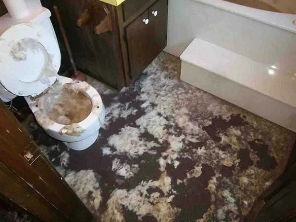 sewage backup in bathroom