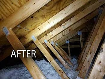 The same wall after mold remediation