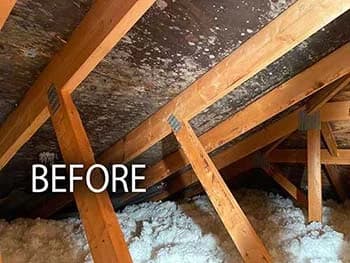 Mold growth on a wall before remediation