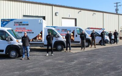 Mold Remediation by Ohio Damage Pros: Clearing 6 Common Misconceptions