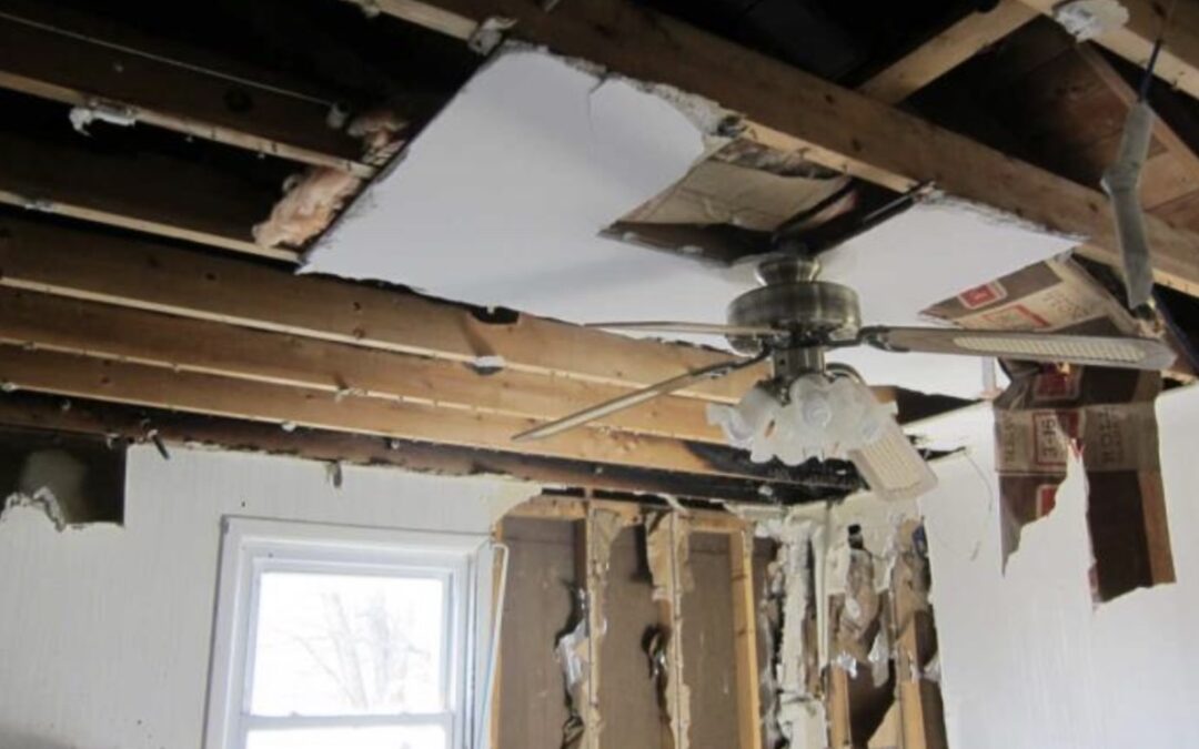 Emergency Fire Damage Restoration: What to Do in the First 24 Hours