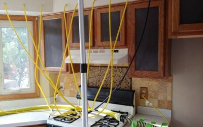 Does Your Ceiling Have You Searching for “Water Damage Restoration Near Me?”