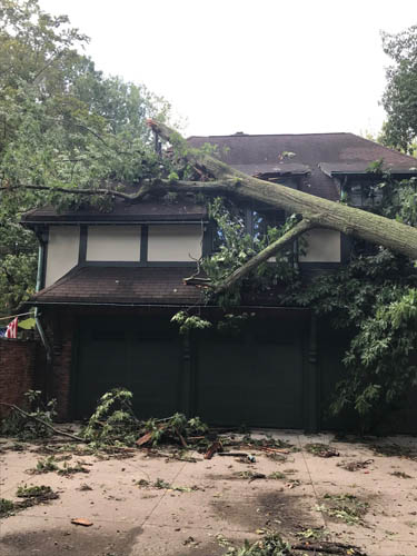 Storm Cleanup & Restoration in Cleveland Heights BEFORE 4