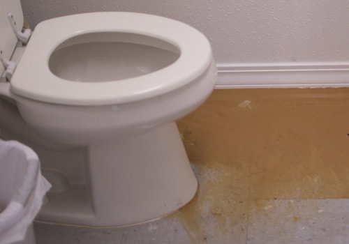 A toilet with a sewage backup problem