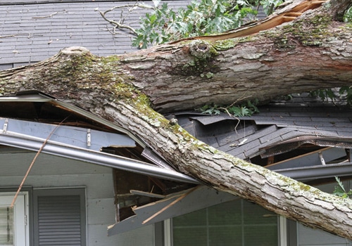 storm damage cleanup service