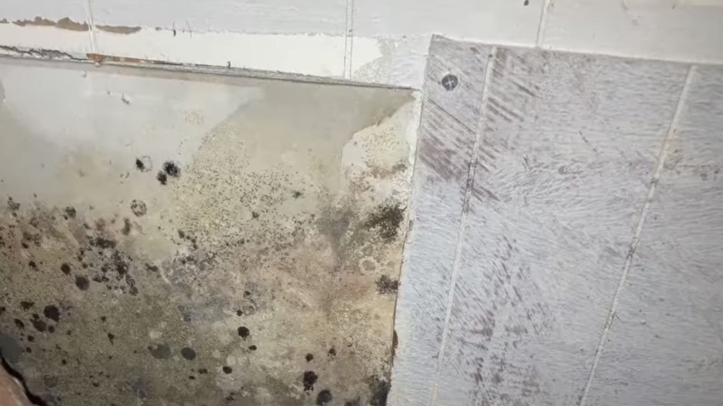 Mold on home walls before mold remediation